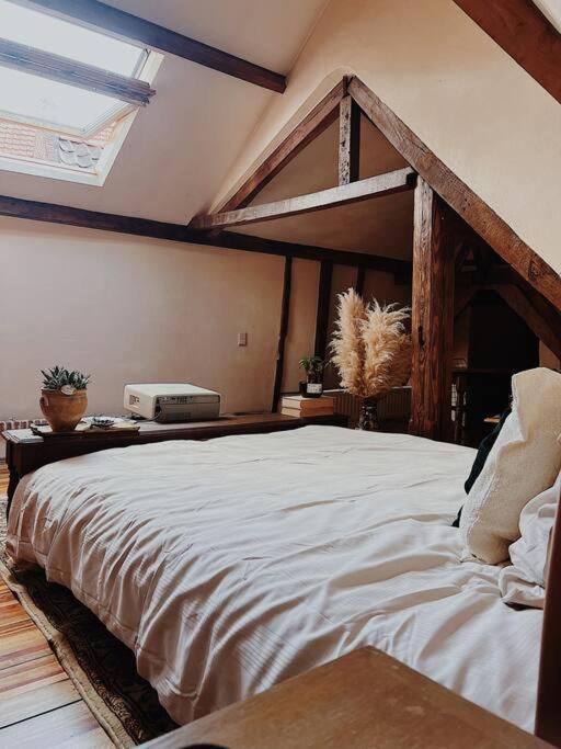 Romantic Unesco Medieval House In The City Center Гент Екстер'єр фото